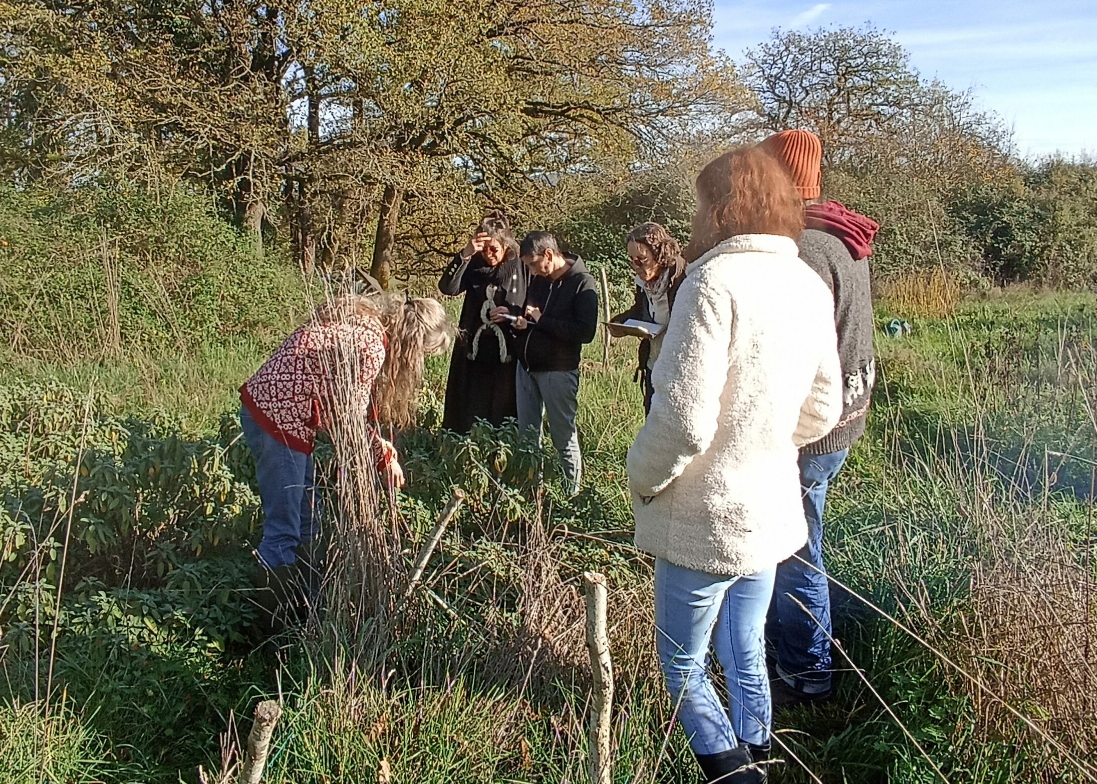 Plantes à parfum, aromatiques et médicinales&nbsp;: nouvelle étape en vue d’une structuration collective durable de la filière