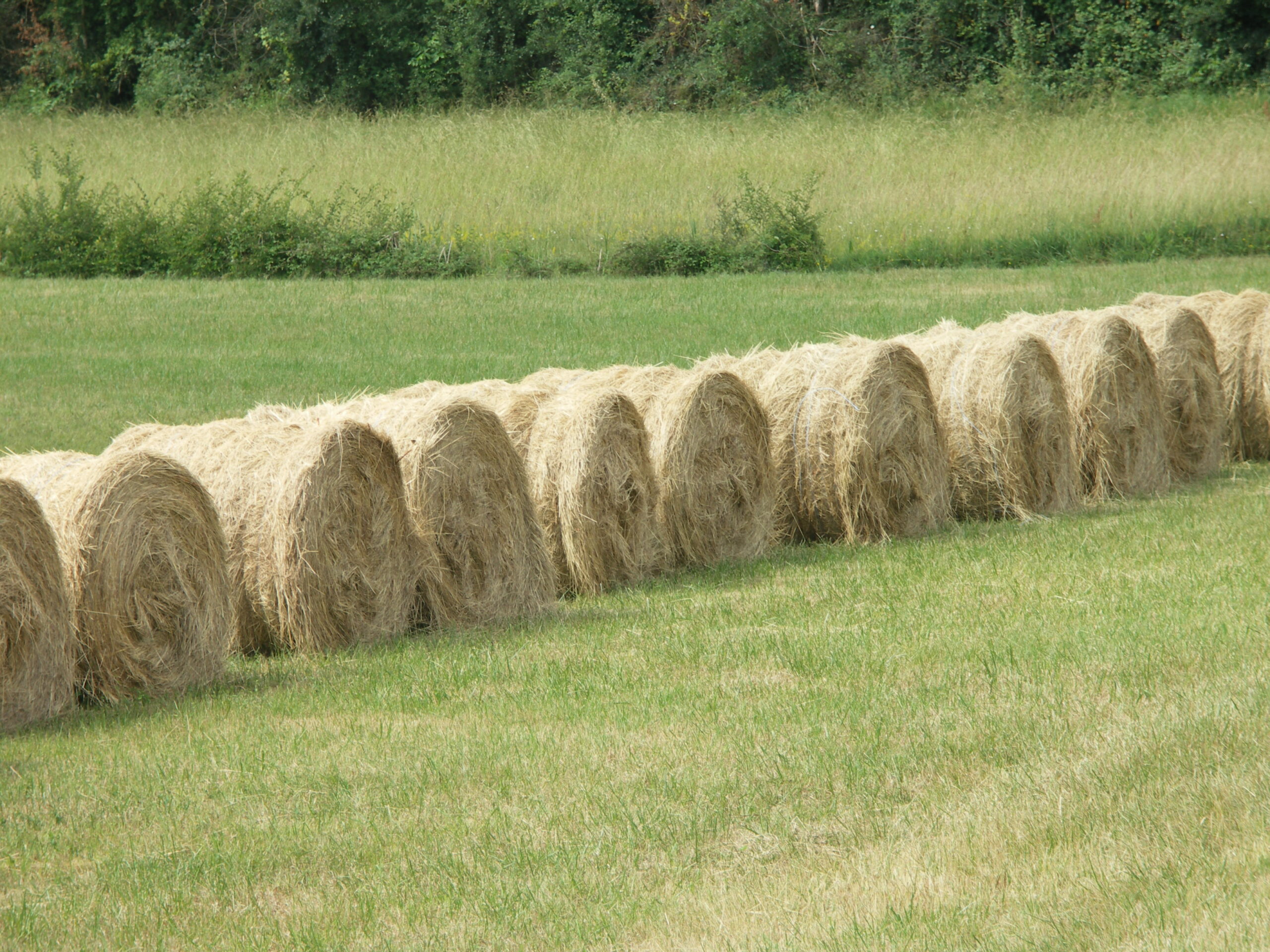 Analyses des fourrages, terres et eau&nbsp;: des réductions de coût jusqu&rsquo;à fin décembre au laboratoire départemental