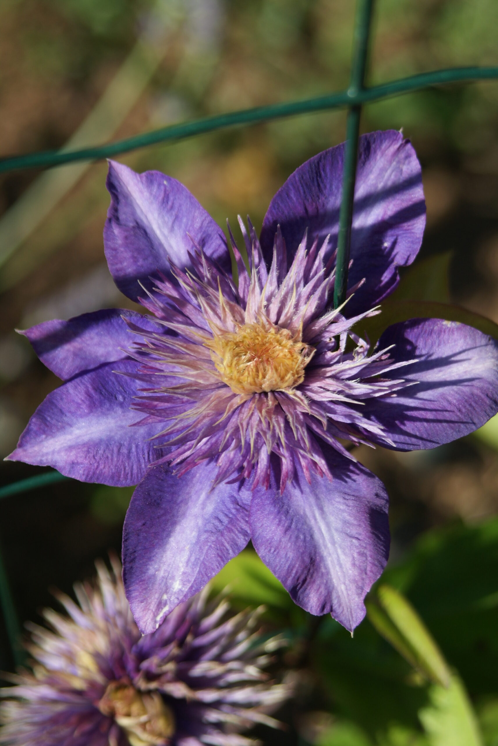 Jardinez avec la lune