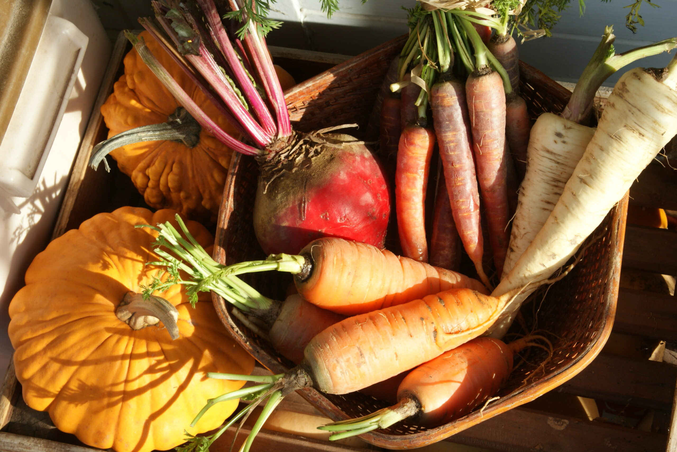 Jardinez avec la lune