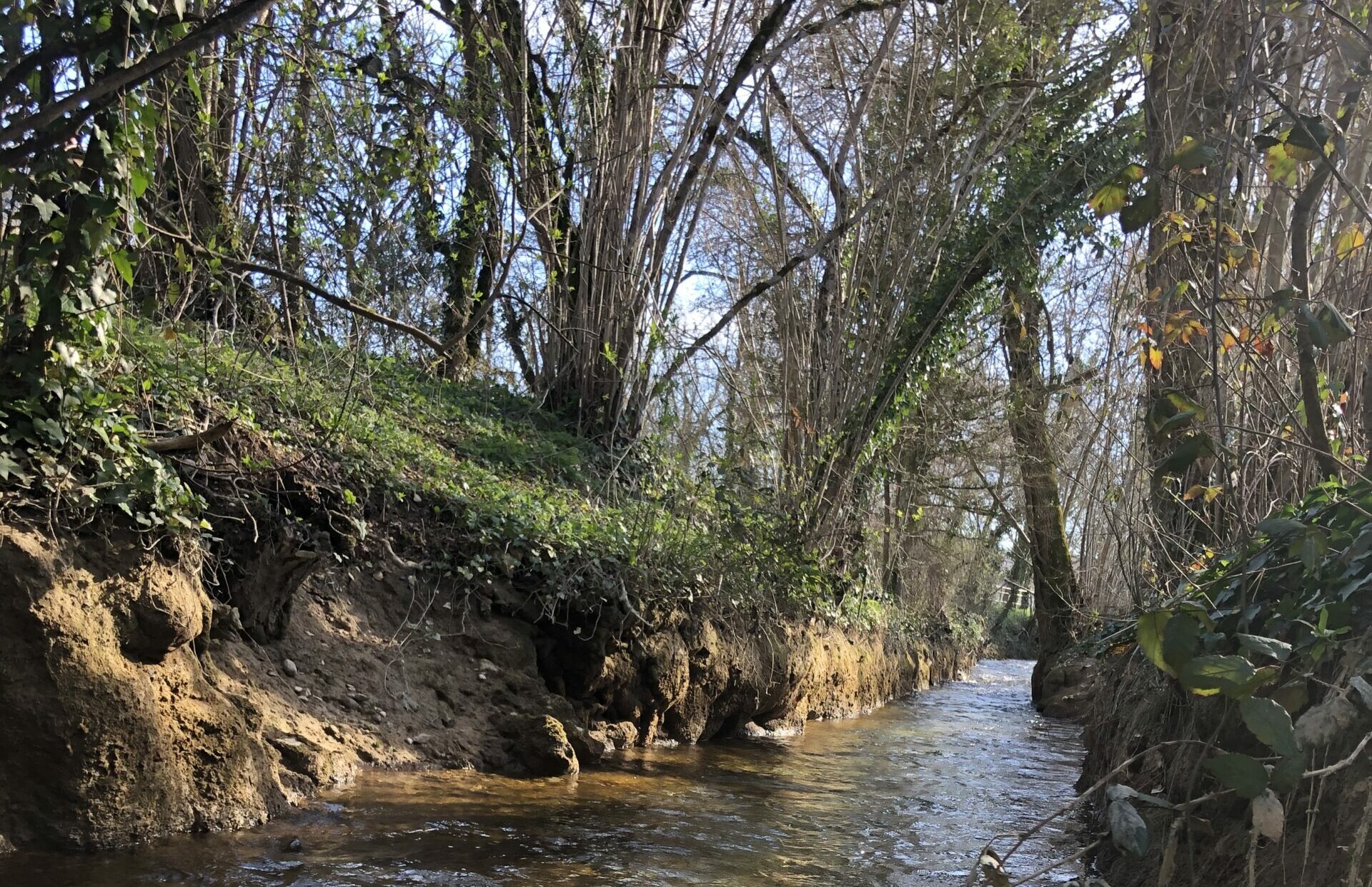 Requalification des cours d&rsquo;eau / fossés