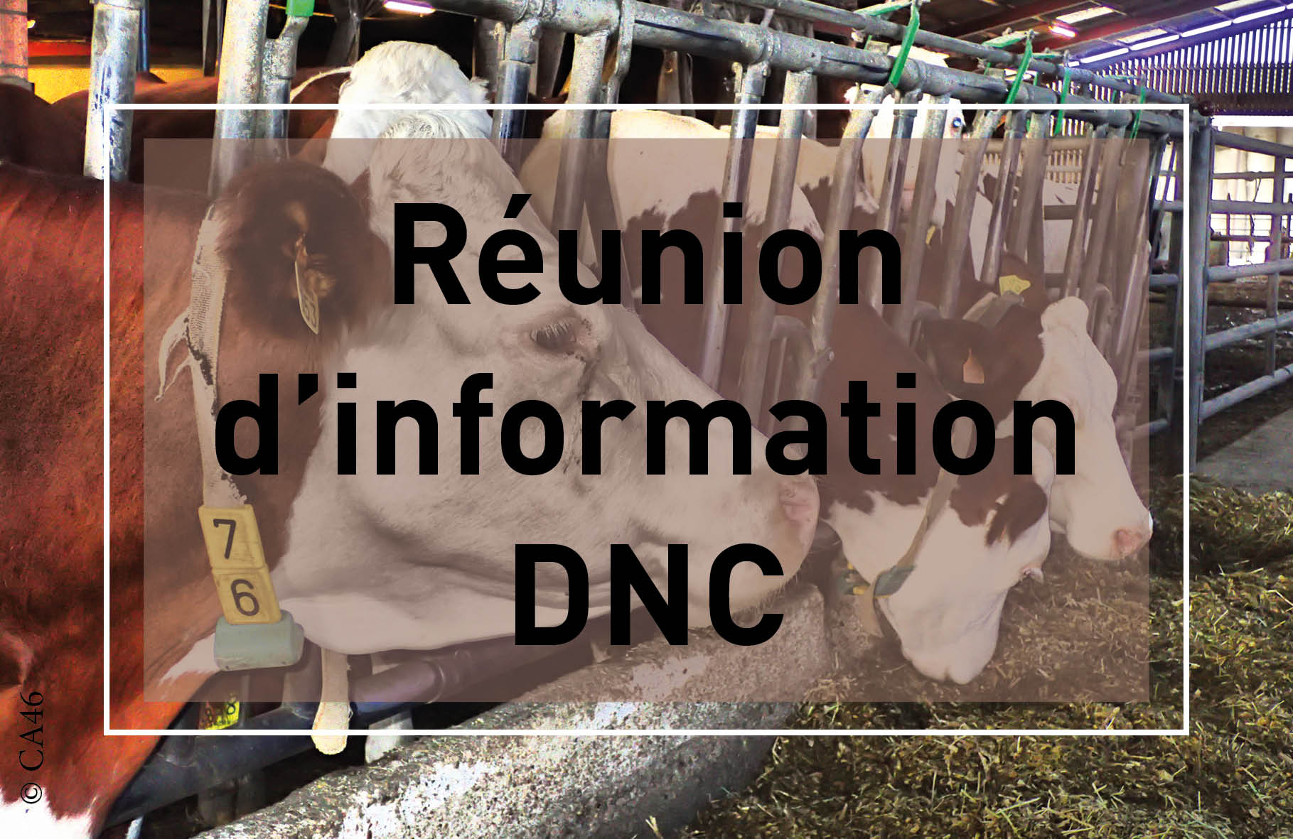 Réunion d&rsquo;informations sur la DNC
