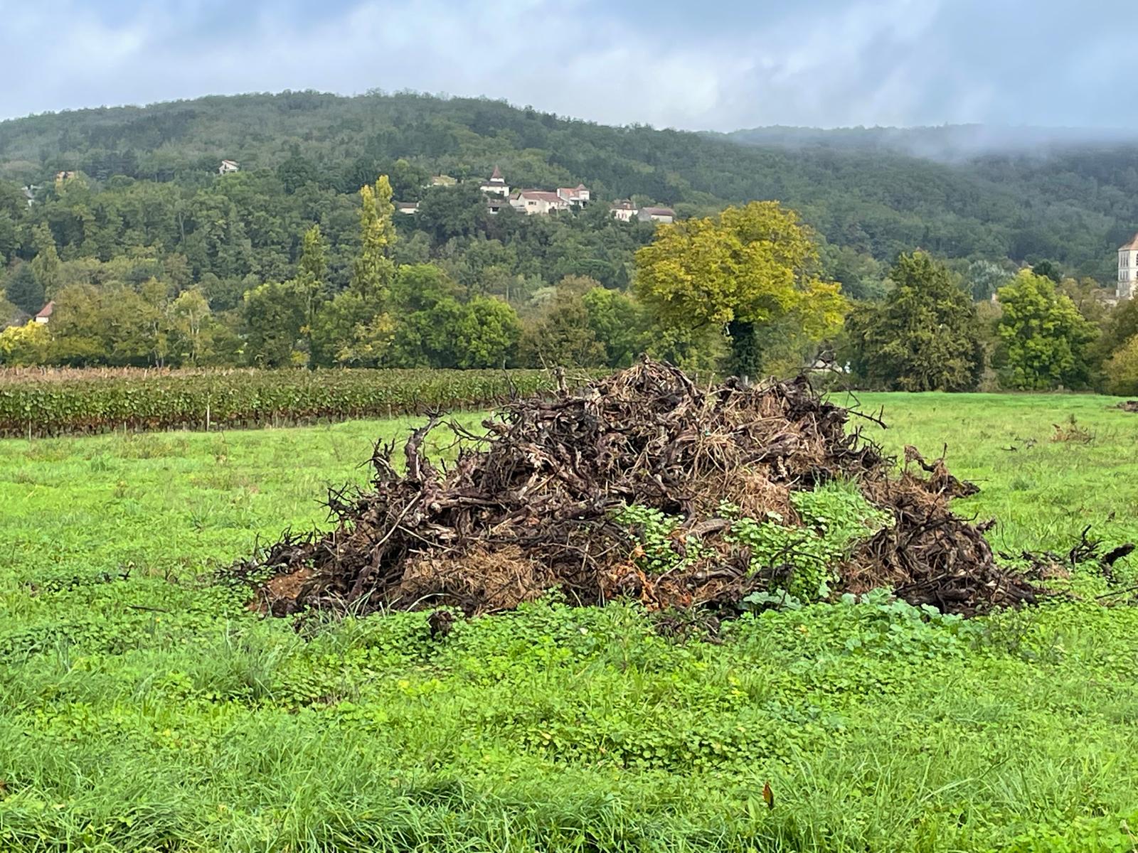 Transition agricole&nbsp;: après l&rsquo;arrachage, place à la diversification dans le Lot